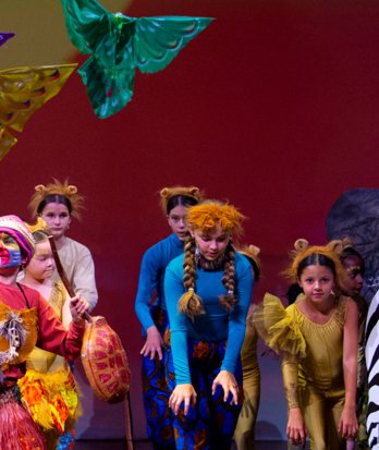 BC Lion King TF 7584 photo permission approved 