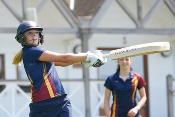  cricket carousel (2)  