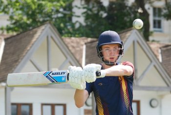  cricket carousel (1)  