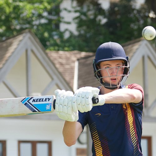  cricket carousel (1)  
