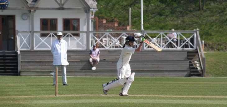  Cricket v Ardindly 014 254894  2  