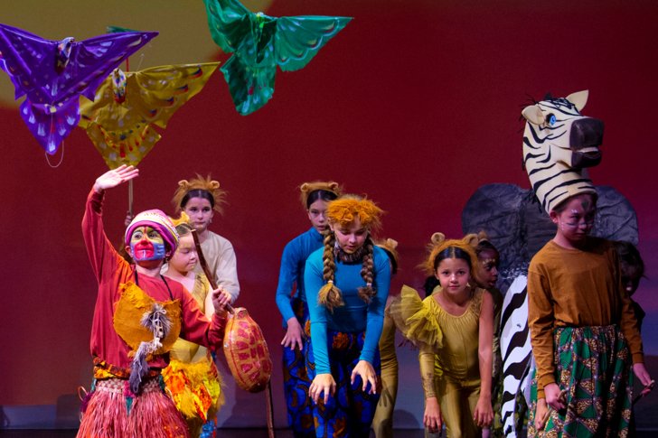  BC Lion King TF 7584 photo permission approved  